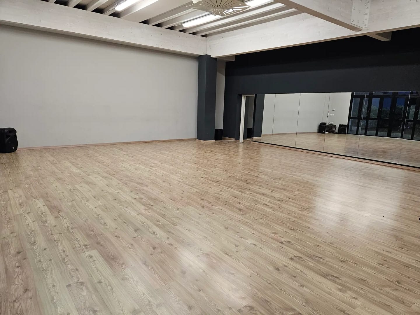 Studio MAX FIT
